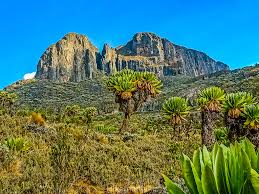 2025cs164059.gnomio.com